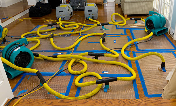 Professional Crawl Space Water Removal technician working in Coldwater, OH